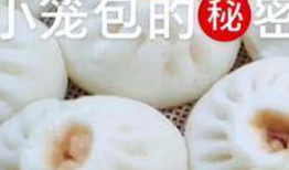 包子视频,揭秘传统美食的独特魅力